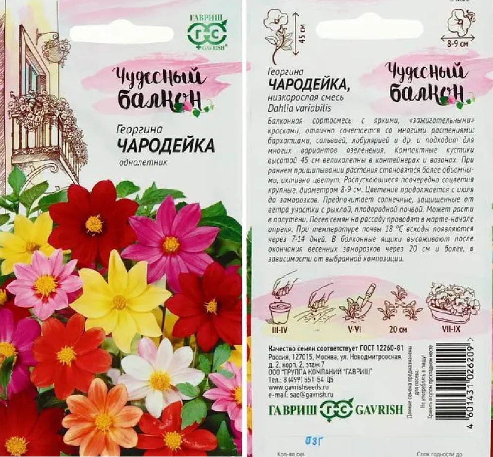 Георгина Чародейка 0,3г (Чудесный балкон) 45см