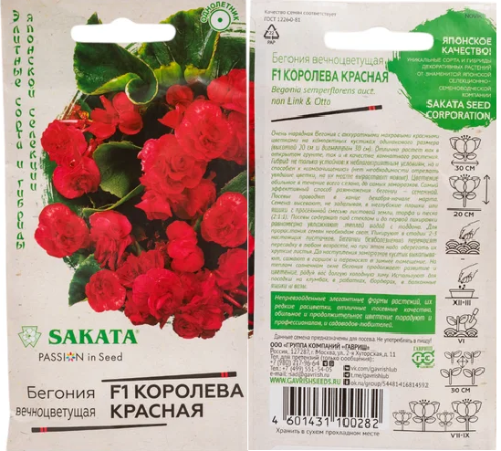 Бегония Королева красная F1 4шт (вечноцв) (Саката)