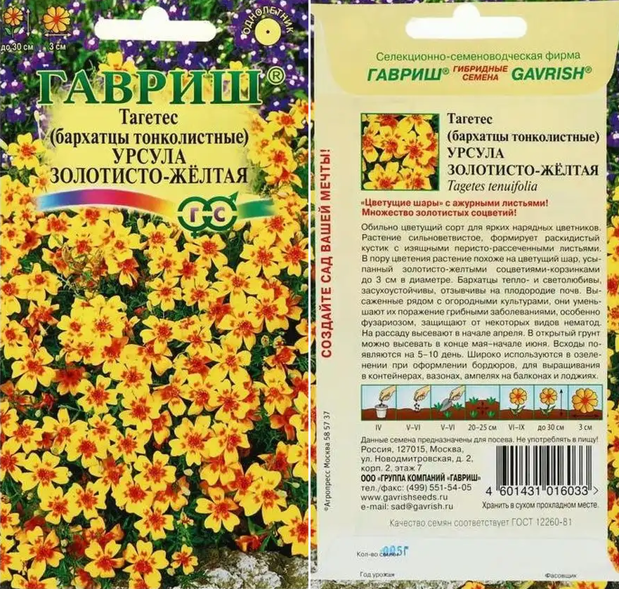 Бархатцы Урсула золотисто-желтые 0,05г (тонколист)