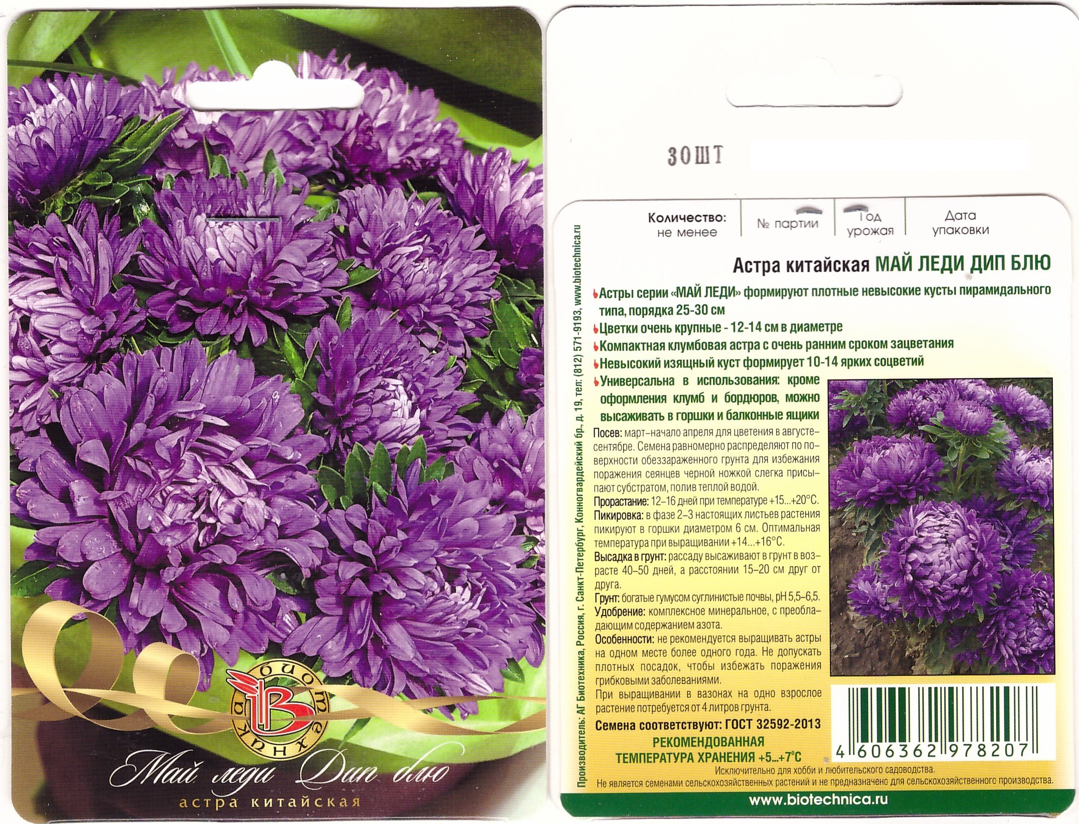 Астра Май леди Дип блю 30шт