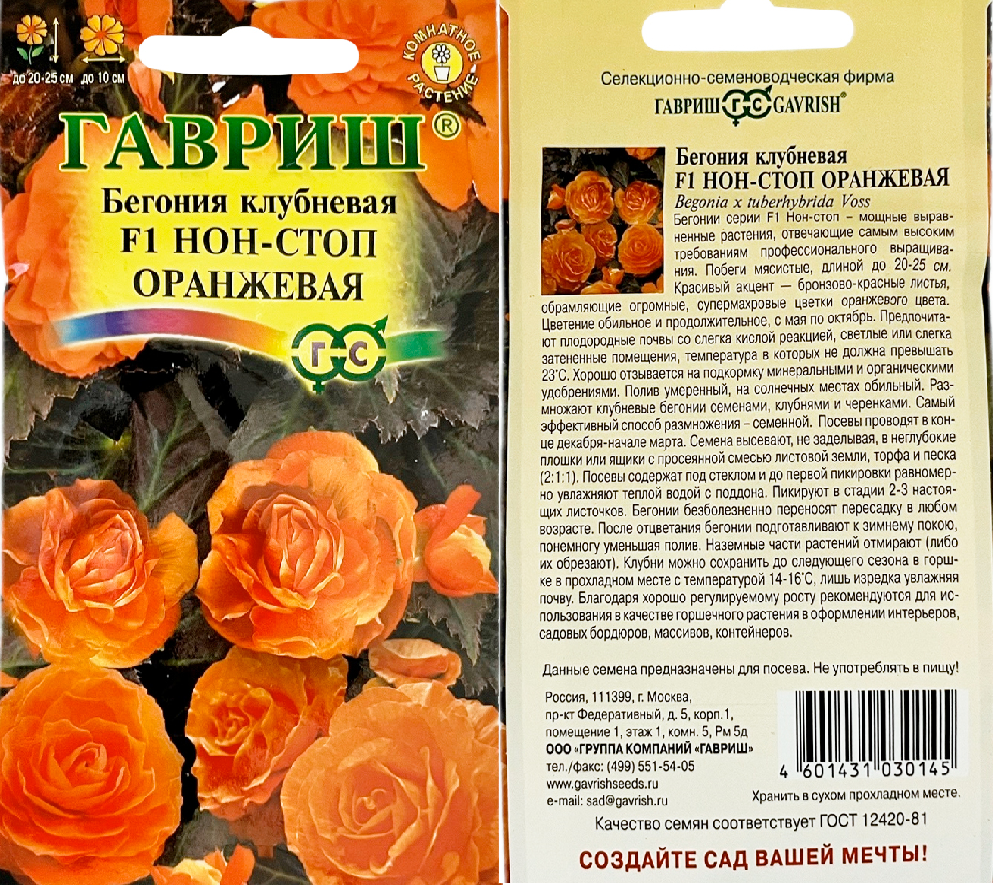 Бегония Нон-стоп оранжевая 4др клубнева махровая